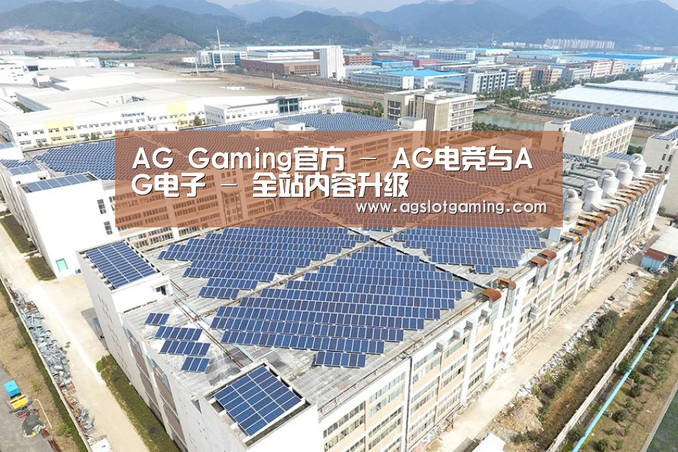 案例展示二
