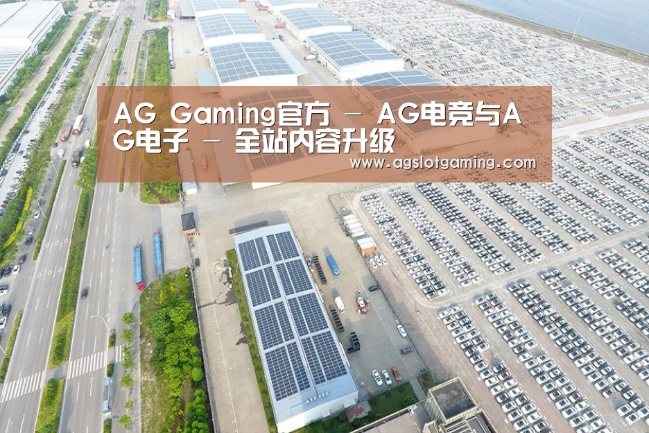 案例展示一