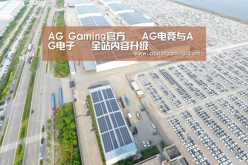 案例展示四