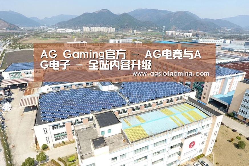 案例展示三