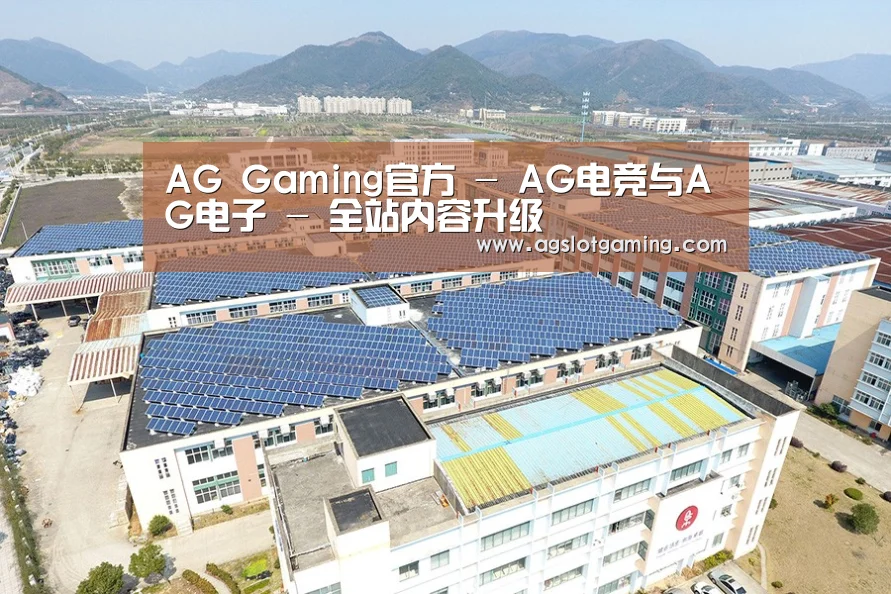 案例展示三