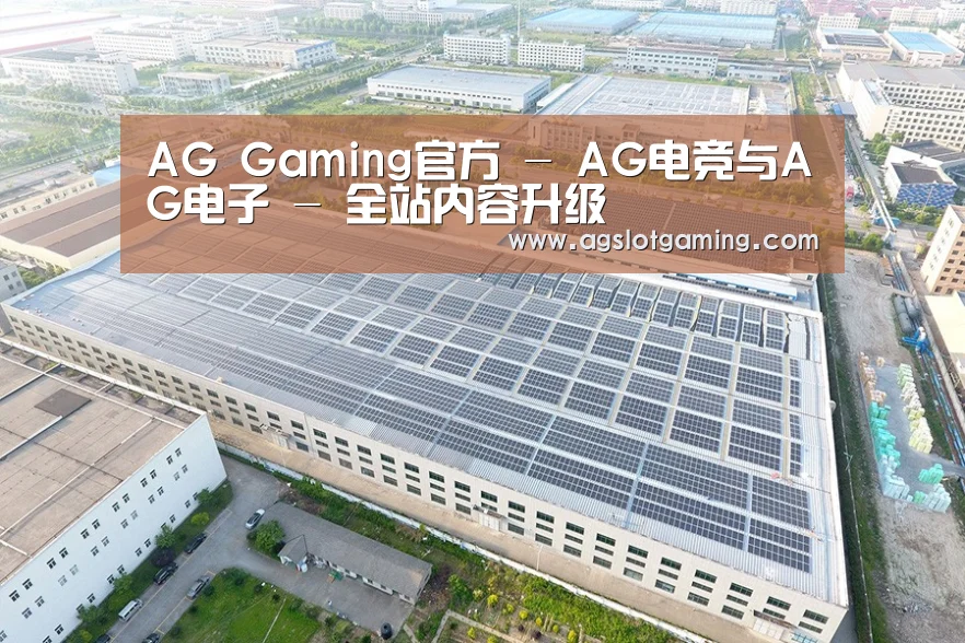 案例展示四