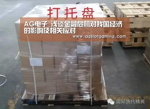 AG电子_浅谈金融危机对我国经济的影响及相关应对(图4) AG电子