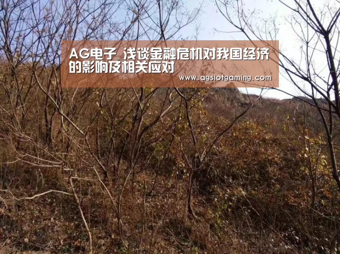 AG电子_浅谈金融危机对我国经济的影响及相关应对(图1) AG电子